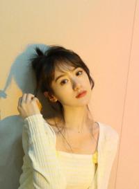 袁冰妍逃税事件主体公司状态更新存续变更为注销