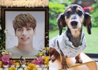 SHINee钟铉的爱犬星露离世 粉丝悲痛哀悼