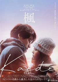 福士苍汰与福原遥双主演电影《枫》 12月19日上映