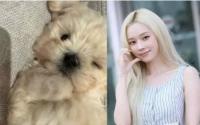 Winter领养爱犬遭质疑来源 直播澄清：是从收容所救回来的